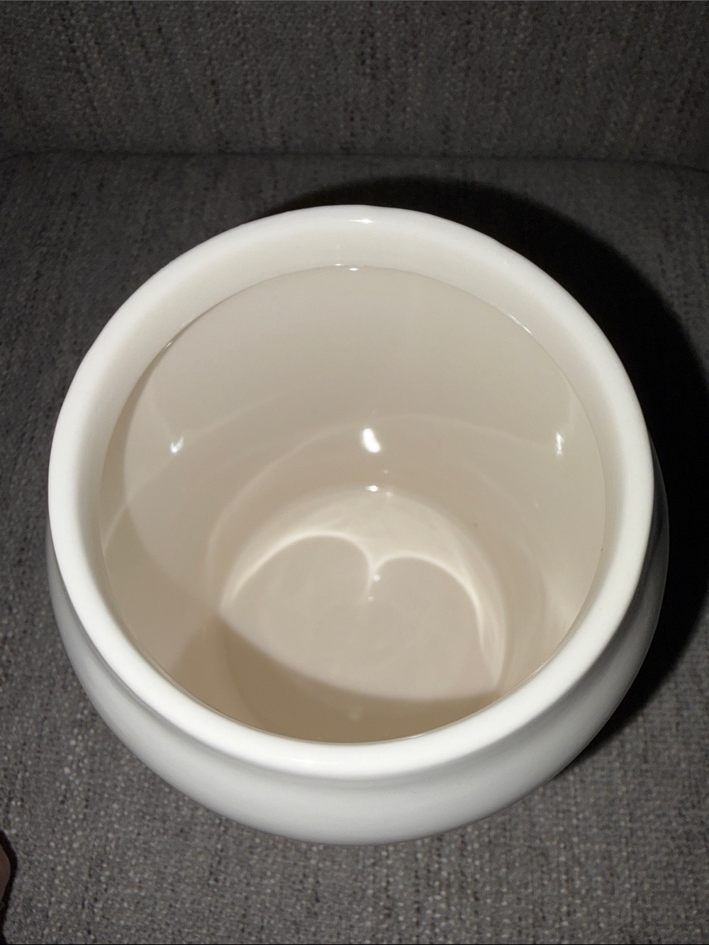 Rae Dunn cluck. HTF farm line canister - Picture 5 of 8